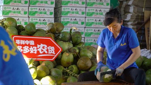 消博會盛裝揭幕 拼多多攜手央視新聞，引領(lǐng)網(wǎng)民共赴農(nóng)產(chǎn)品云端盛宴