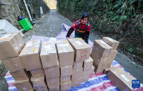浙江淳安 傳統農產品走俏年貨市場，山珍好味帶動農副產品銷售熱潮
