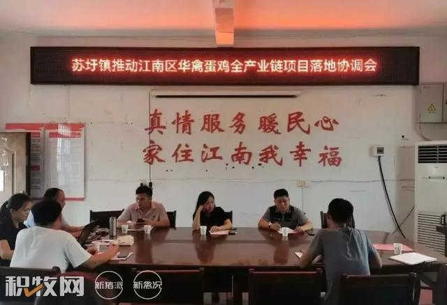 廣西蛋雞養殖產業再添巨擘 可存欄200萬余羽項目開工，推動農副產品銷售新格局
